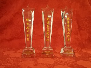 2021優(yōu)秀共產(chǎn)黨員、黨務(wù)工作者、先進(jìn)基層黨組織